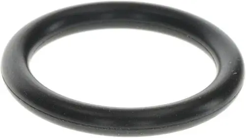Schwarzer O-Ring von Bosch. Er hat eine runde Form und eine glatte Oberfläche ohne erkennbare Maße oder zusätzliche Markierungen.